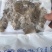 生冻皮皮虾肉虾虎肉一袋250克生冻虾婆肉
