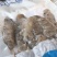 生冻皮皮虾肉虾虎肉一袋250克生冻虾婆肉