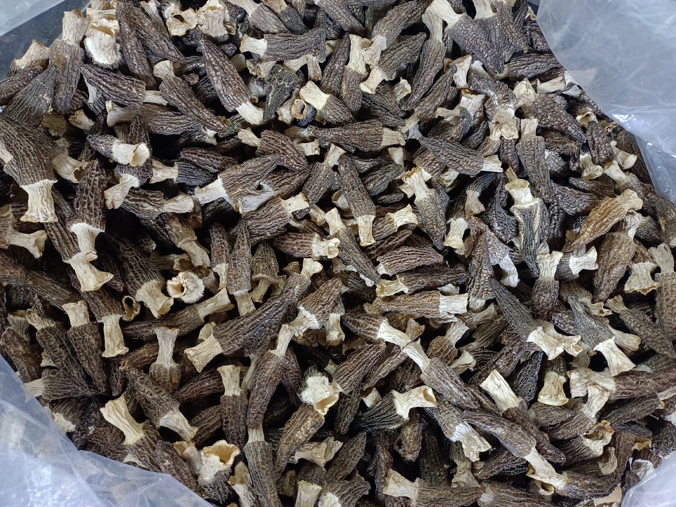 长形羊肚菌加工产品展示