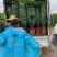 绿宝广东佛山三水苗木，基地直发，批发价格