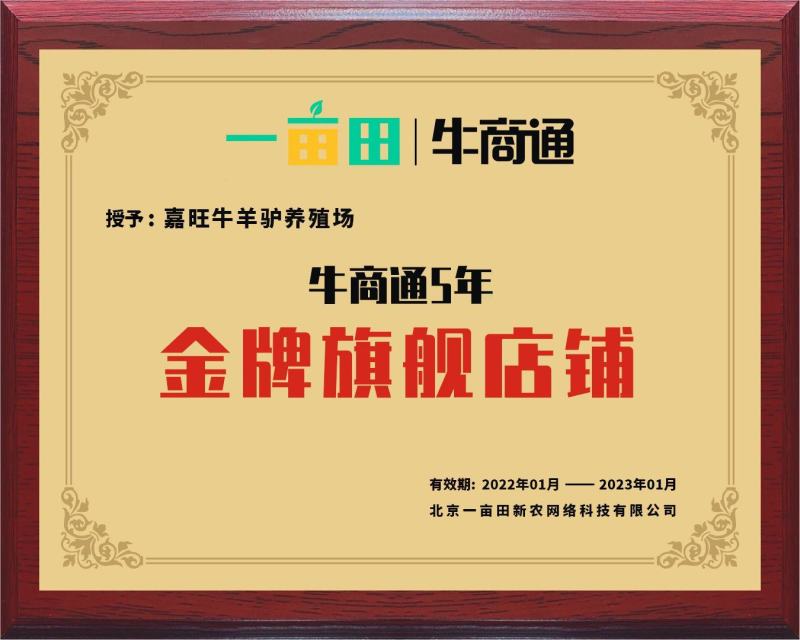 [热]利木赞牛法国吨牛犊包技术包成活包运输