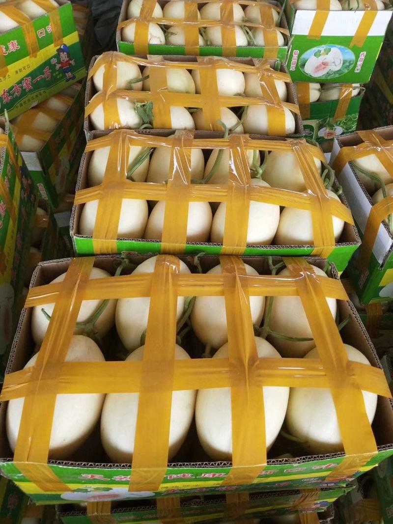 红金蜜东方蜜脆梨专业代收代发全国市场货源充足