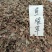 大货鱼腥草长年批发零售价格美丽无公害，货源充足，量大