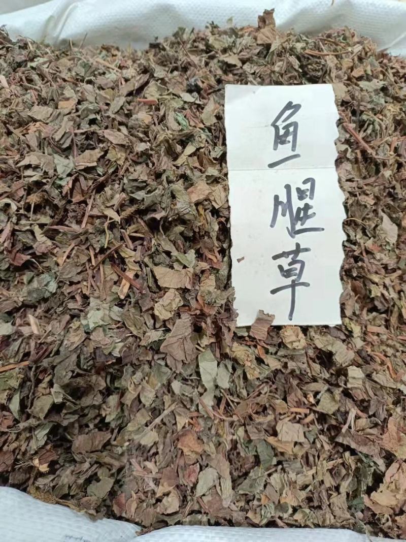 大货鱼腥草长年批发零售价格美丽无公害，货源充足，量大