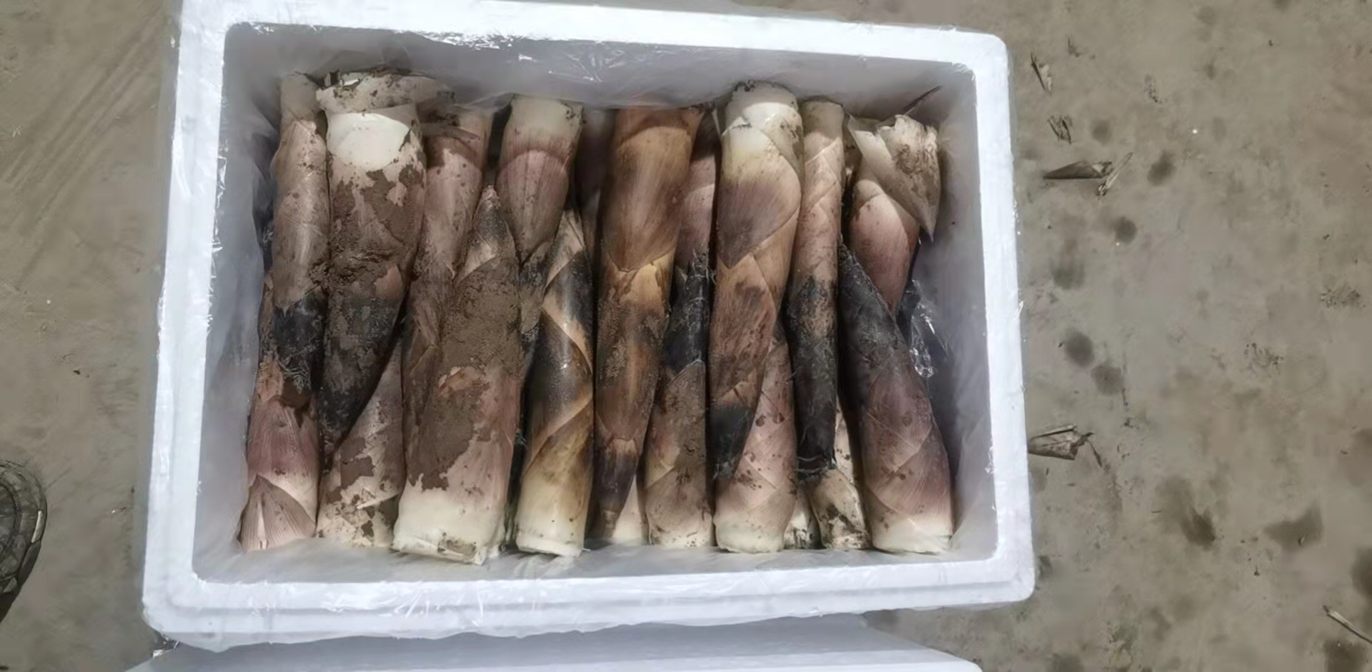 泡椒竹笋与健康饮食搭配图