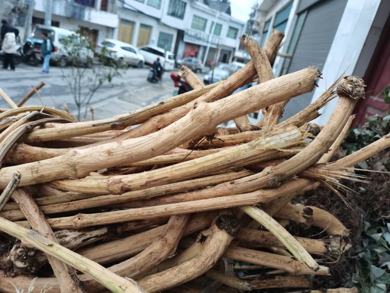 贵州产地中药材川木通鸡挂藤产地直发