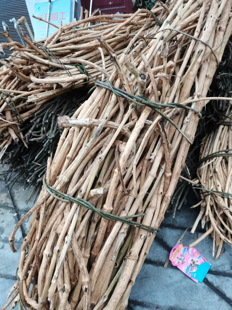 贵州产地中药材川木通鸡挂藤产地直发