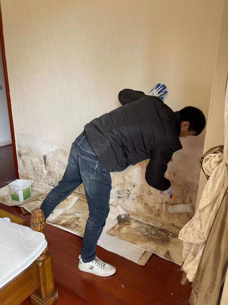 板材专区，科绿护柜宝，防潮，防霉无异味，无甲醛！粘胶涂料