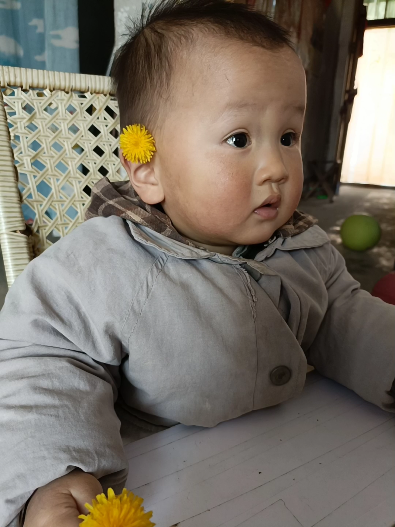 甘草甘草片新货颜色好供应各种中药材