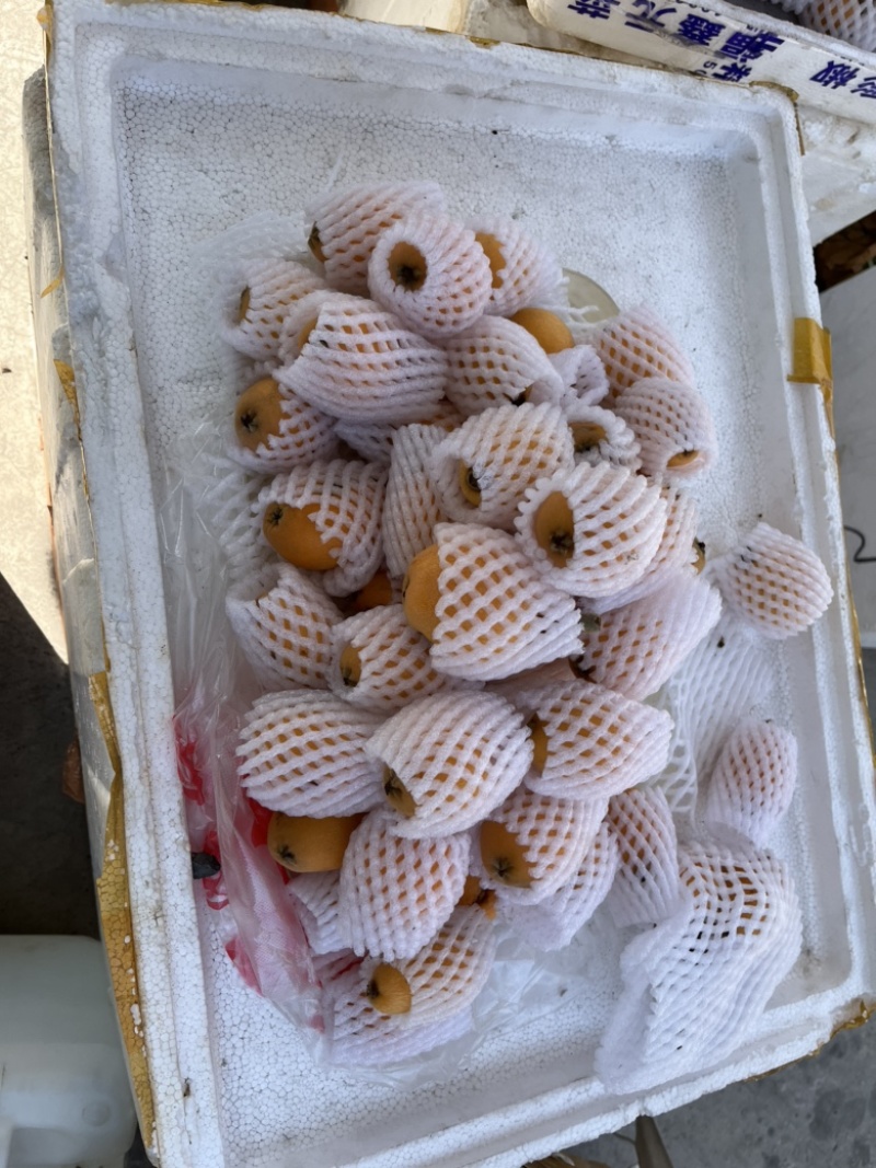 颜色很好很大，