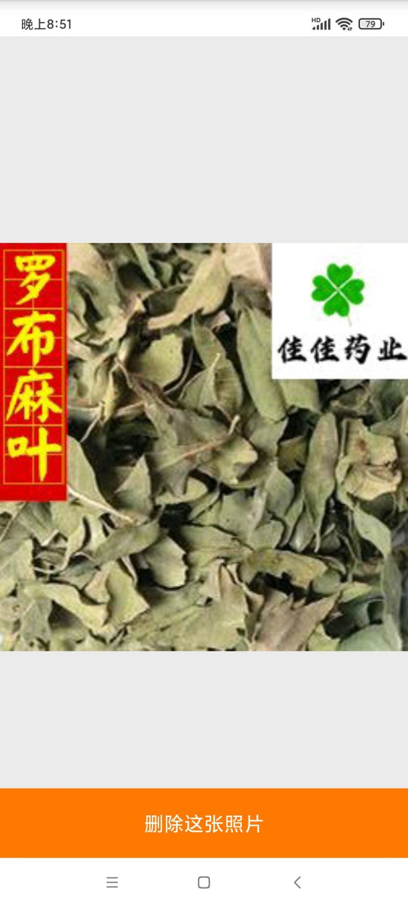 罗布麻罗布麻叶新货颜色好货干供应各种中药材