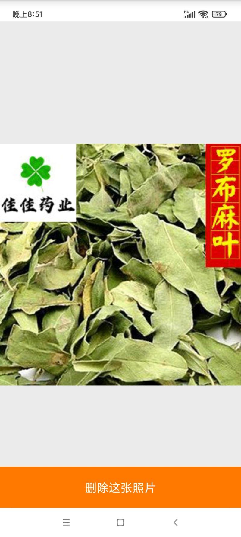 罗布麻罗布麻叶新货颜色好货干供应各种中药材