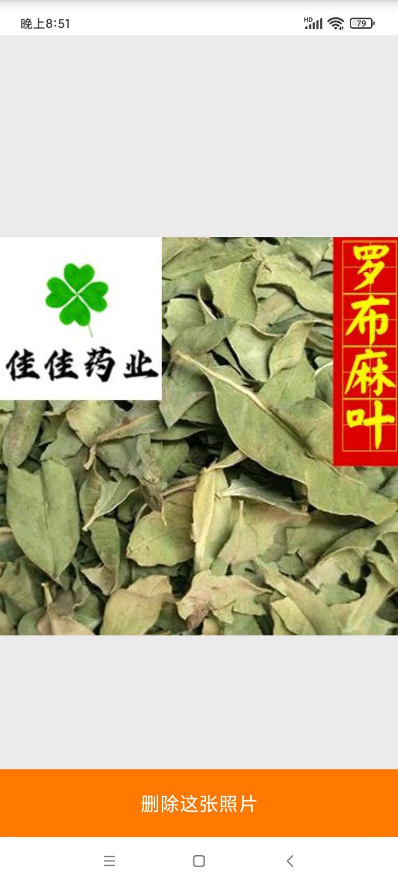 罗布麻罗布麻叶新货颜色好货干供应各种中药材
