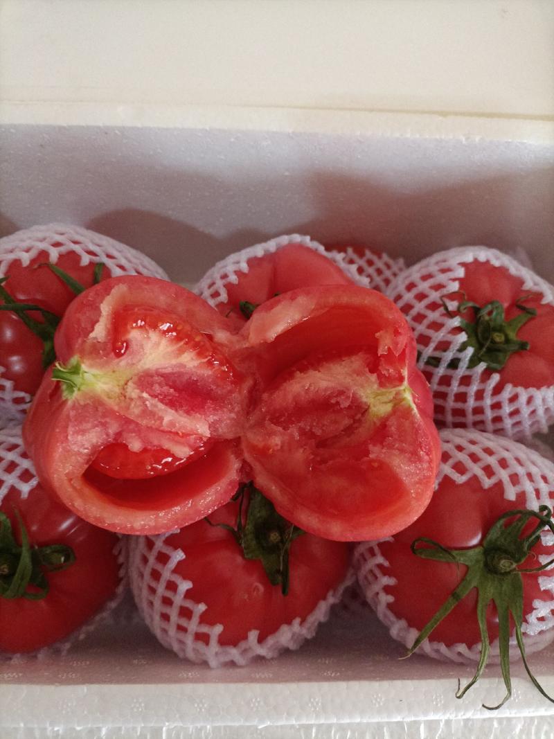 【一件代发】陕西泾阳普罗旺斯番茄水果西红柿礼盒彩箱包装