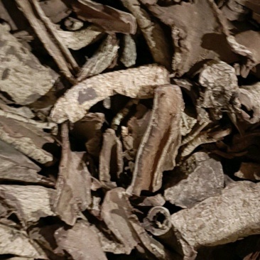 土荆皮土荆皮无硫货土槿皮过筛货供应各种中药材