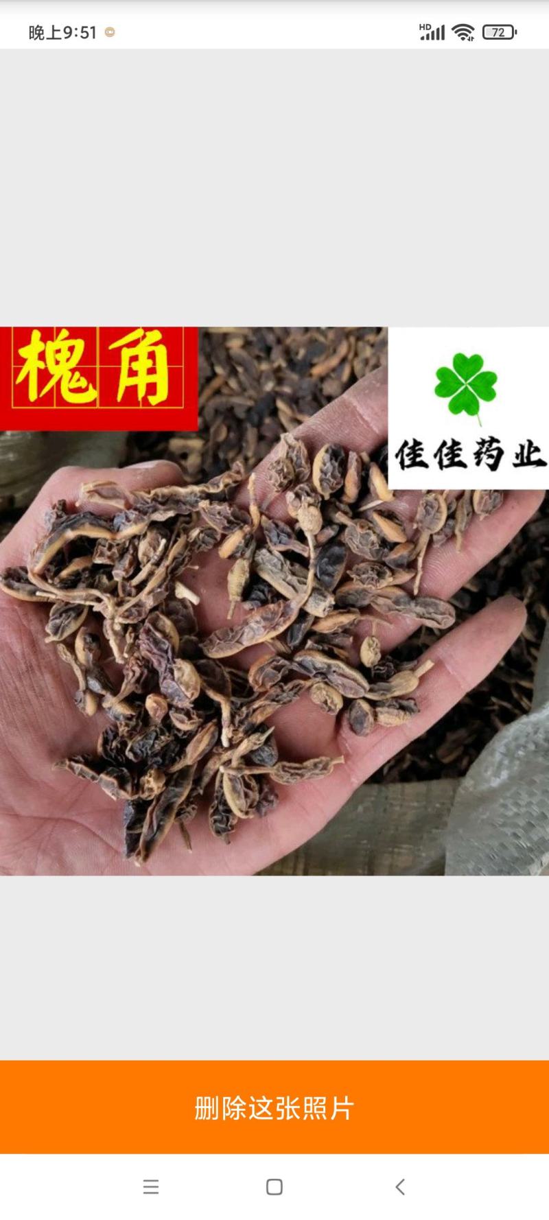 槐角好统货新货供应各种中药材冷背货矿石等
