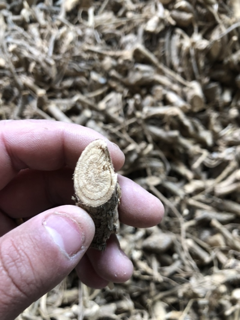 陕西商洛苦参段，