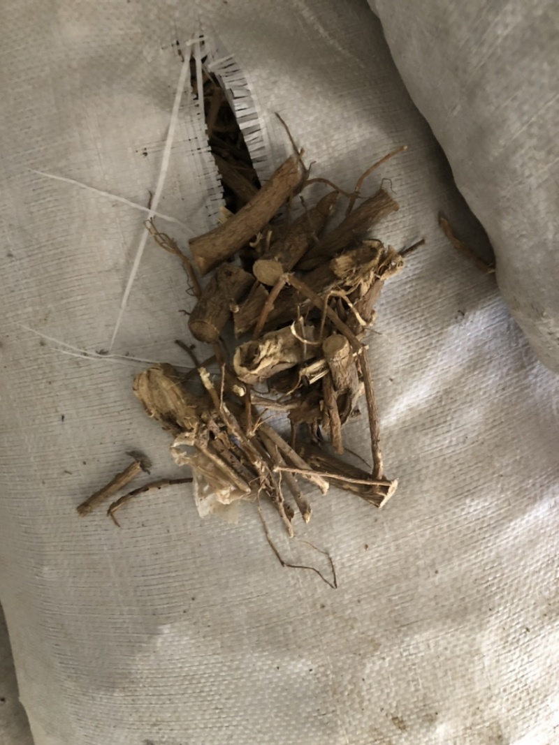 陕西商洛苦参段，