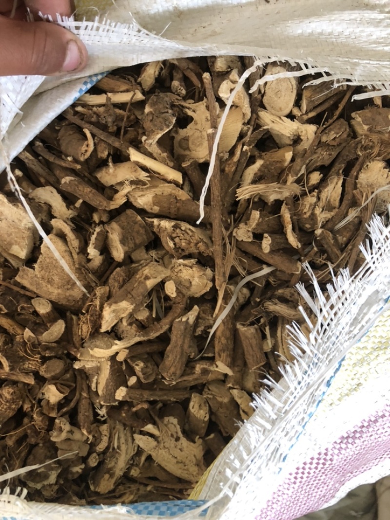陕西商洛苦参段，