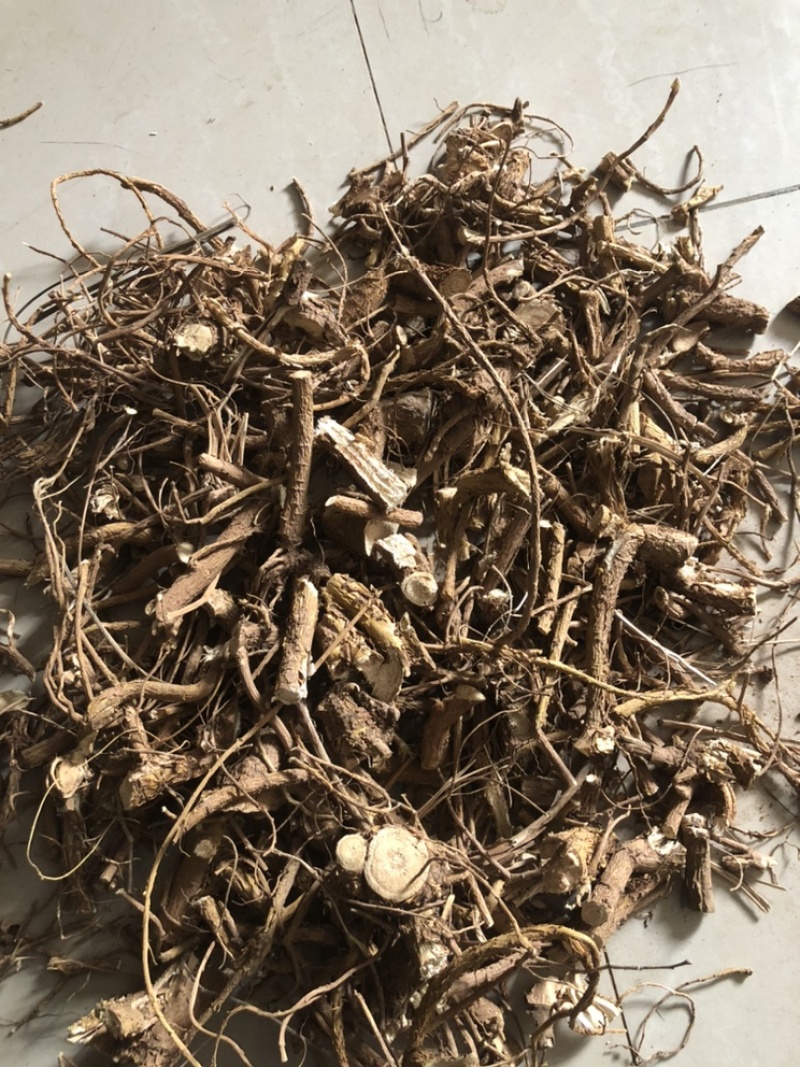 陕西商洛苦参段，