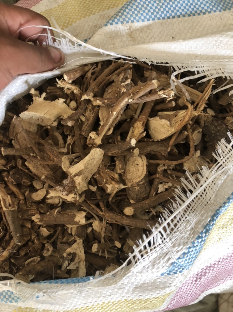 陕西商洛苦参段，