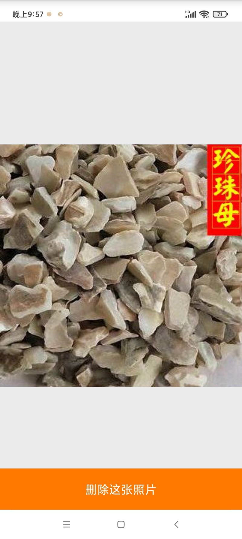 珍珠母选货珍珠母颗粒供应大货各种中药材矿石