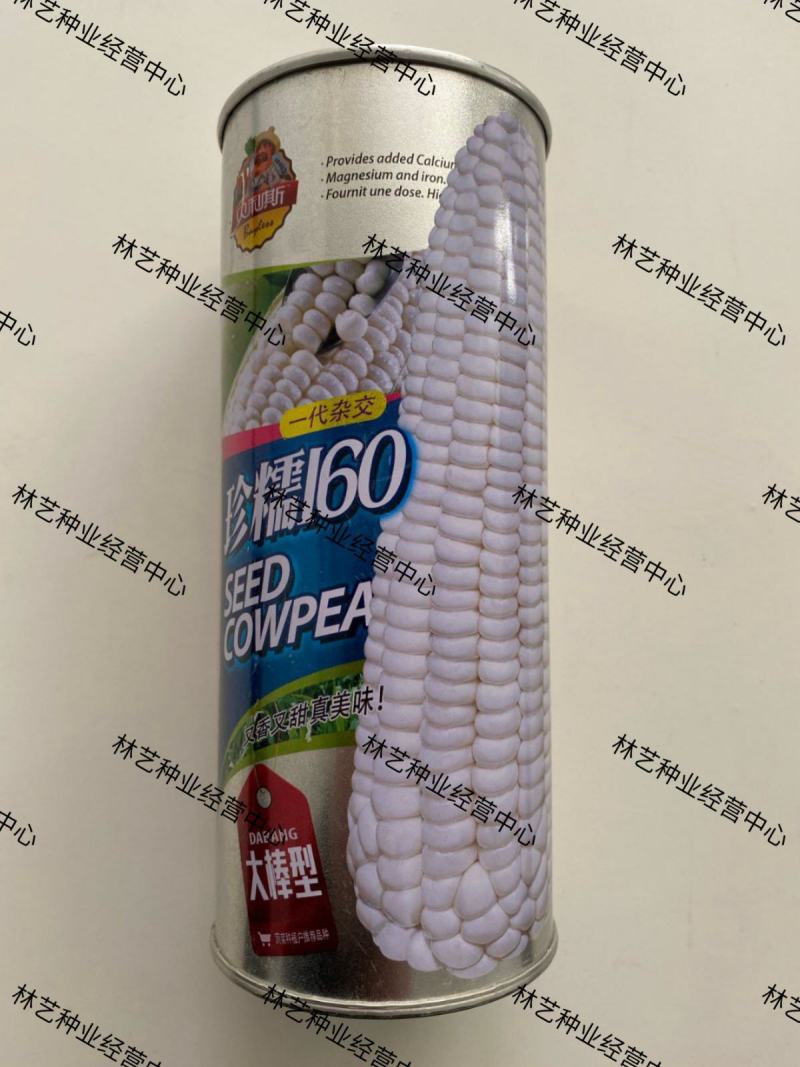珍糯玉米种子高产大棒矮杆甜糯超甜鲜食春秋播珍甜糯白玉米种