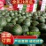 精品2K小吊瓜牛奶爆瓜冰淇淋小糖丸西瓜包装小工齐全