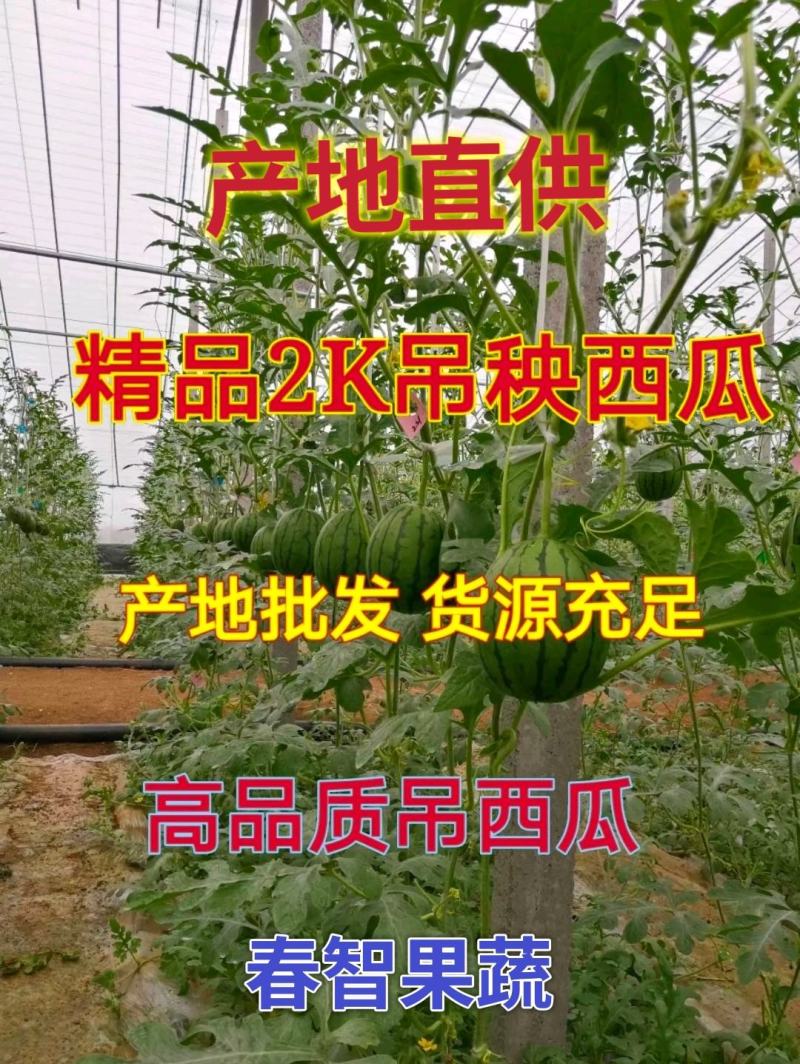 精品2K小吊瓜牛奶爆瓜冰淇淋小糖丸西瓜包装小工齐全