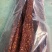 牛肉干，阿坝州牦牛风干肉。品种味道齐全。价格美丽！味道好