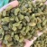特价批发新疆吐鲁番原味散装葡萄干休闲零食一手货源量大优惠