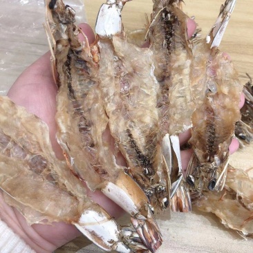 南海大虾干