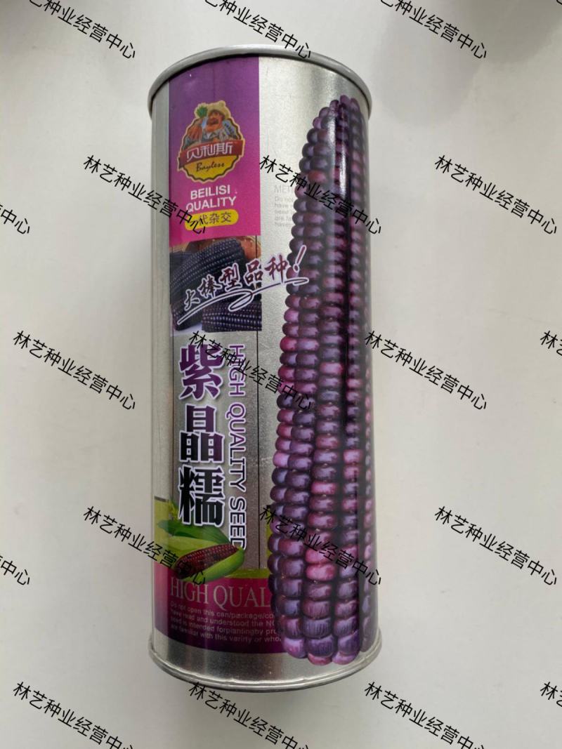 紫晶糯玉米种子香甜玉米种子粘玉米籽春夏阳台田园蔬菜水果