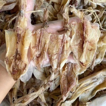 南海小鱿鱼干