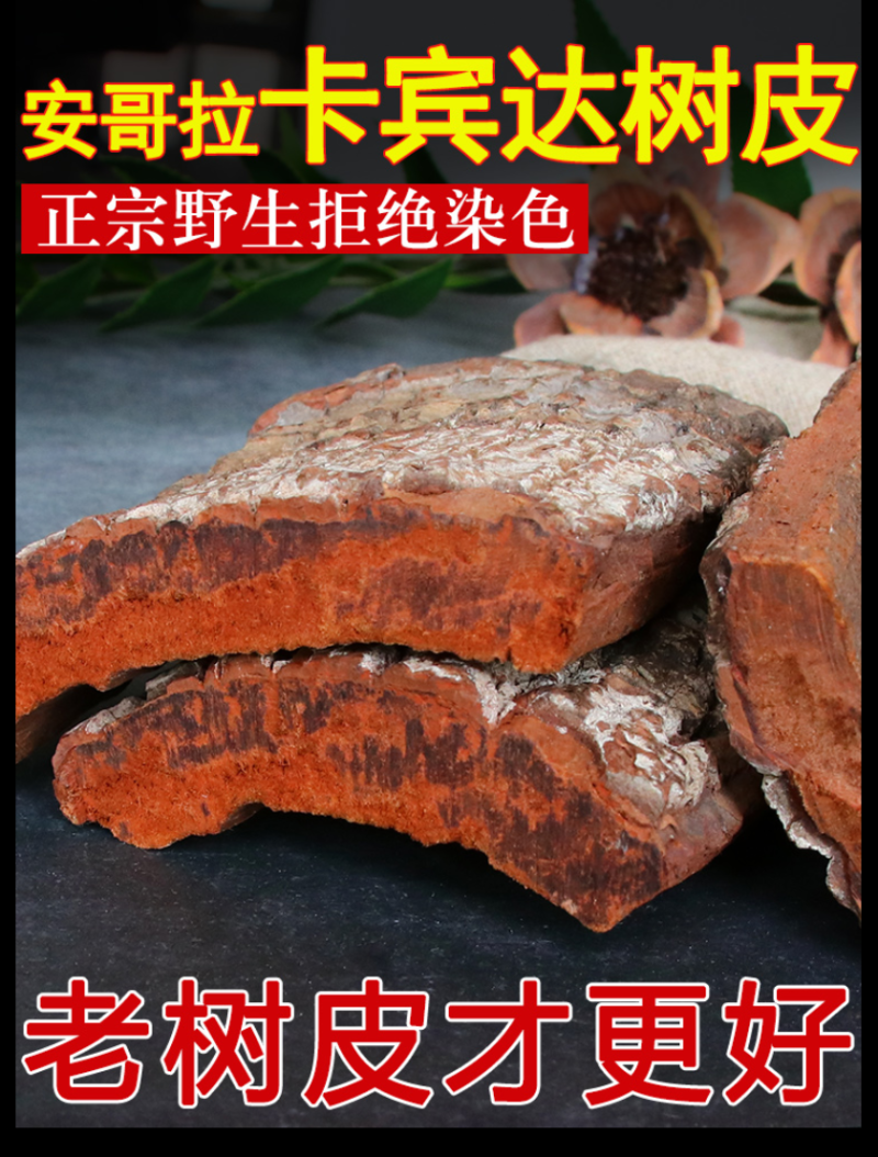 卡宾达老树皮正品老树皮泡酒规格厚度齐全量大从优