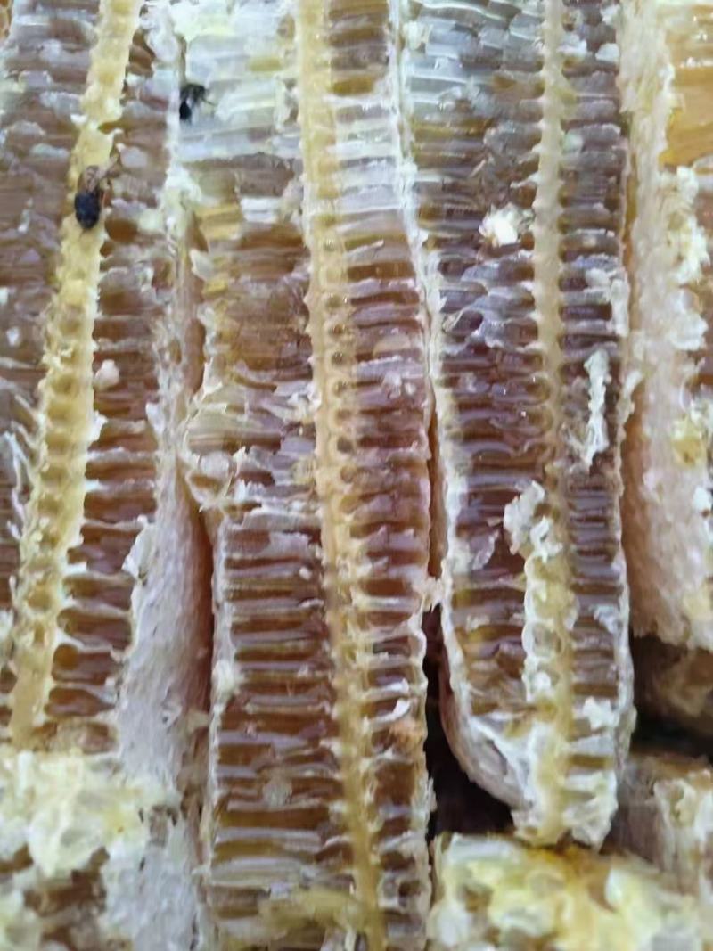 云南高山蜂蜜，各种价格，品种都有，基地一手货源批发