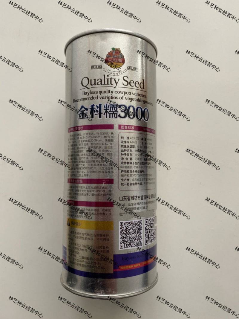 京科糯3000白色甜玉米甜加糯型鲜食水果玉米种子