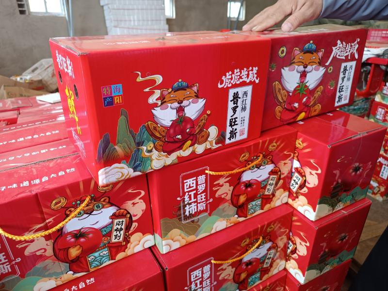 山东海阳普罗旺斯西红柿水果西红柿沙瓤团购礼盒包装