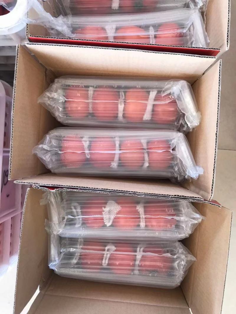 山东海阳普罗旺斯西红柿水果西红柿沙瓤团购礼盒包装