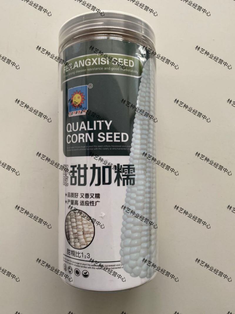 甜加糯玉米种子甜软糯白玉米种籽高产量耐热抗病早熟粮食种子