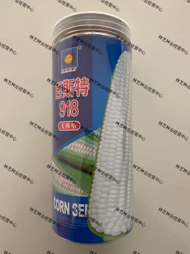 百斯特玉米种子白玉米种子东北黏玉米种子粘玉米种子蔬菜