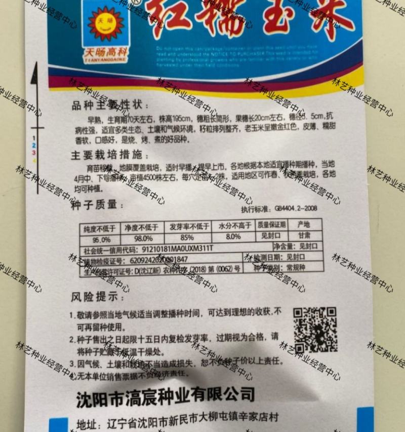 红糯玉米种子鲜食水果型红玉米种子四季高产大棒红玉米种子