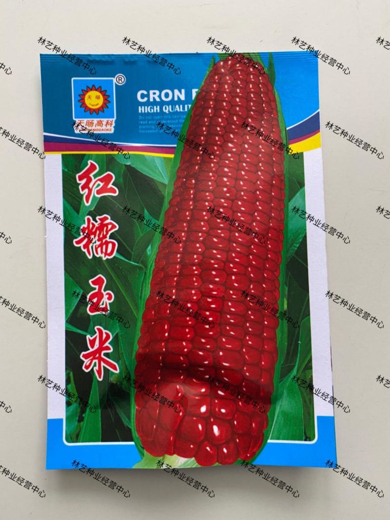 红糯玉米种子鲜食水果型红玉米种子四季高产大棒红玉米种子