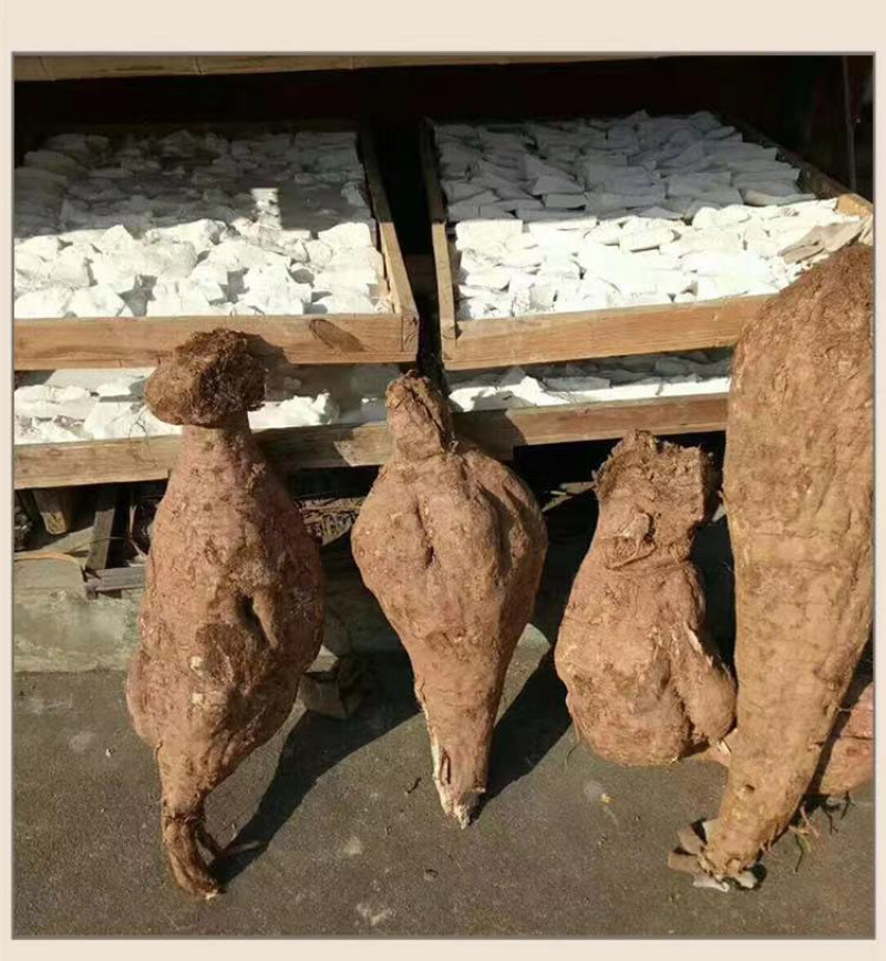 野生葛根粉纯粉无添加一斤一瓶一件50斤价格美丽