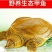 甲鱼外塘放养甲鱼包活包邮原汁原味营养滋补美味