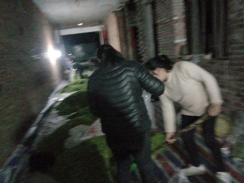 榆钱当天新鲜现货5500左右，产地直供质优价廉，日供万斤
