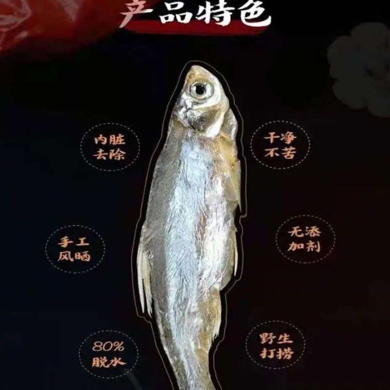 洪湖天然淡水鱼，小白鱼(小白条）自然繁殖，天然生长