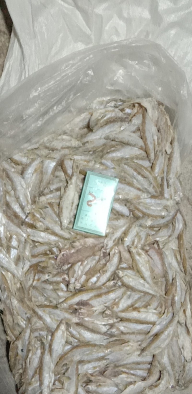 洪湖天然淡水鱼，小白鱼(小白条）自然繁殖，天然生长