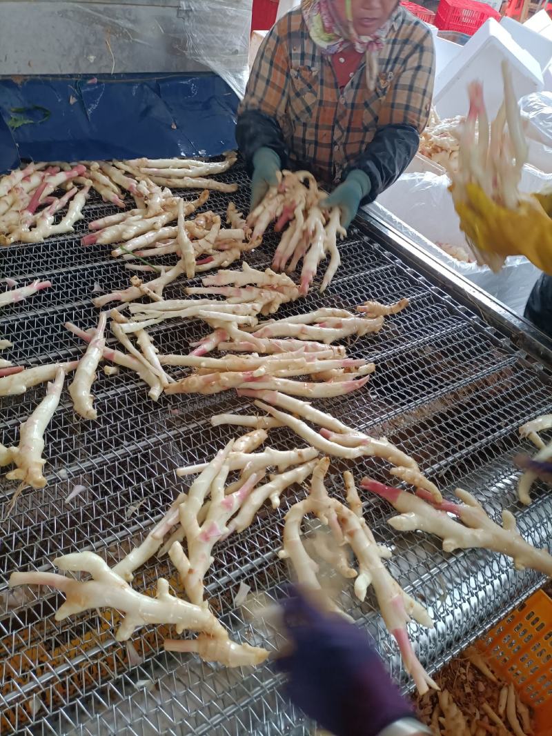 大量出售价格已当天为准货品优质服务