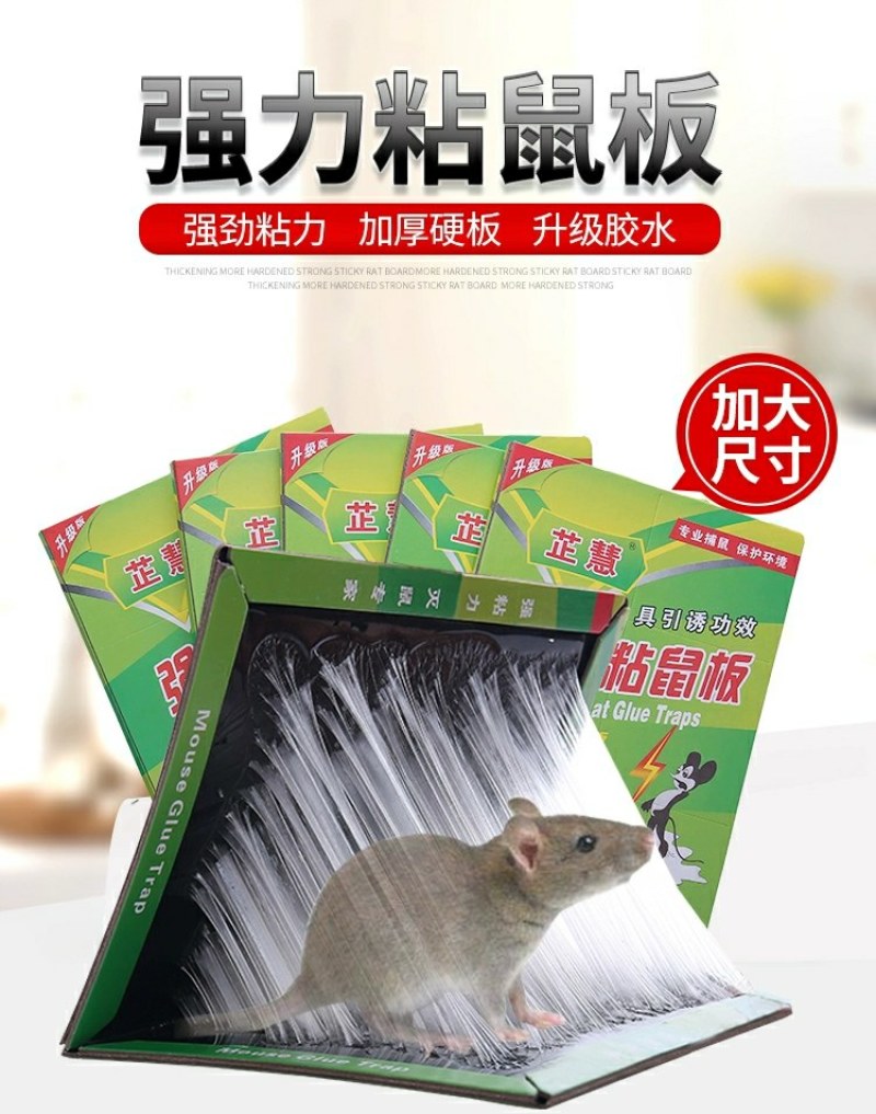 粘鼠板强力超强老鼠贴胶黏贴板沾抓灭驱鼠神器神药家用加大正